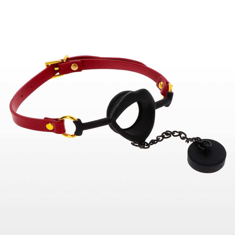 Taboom Kinky Gag med Plug