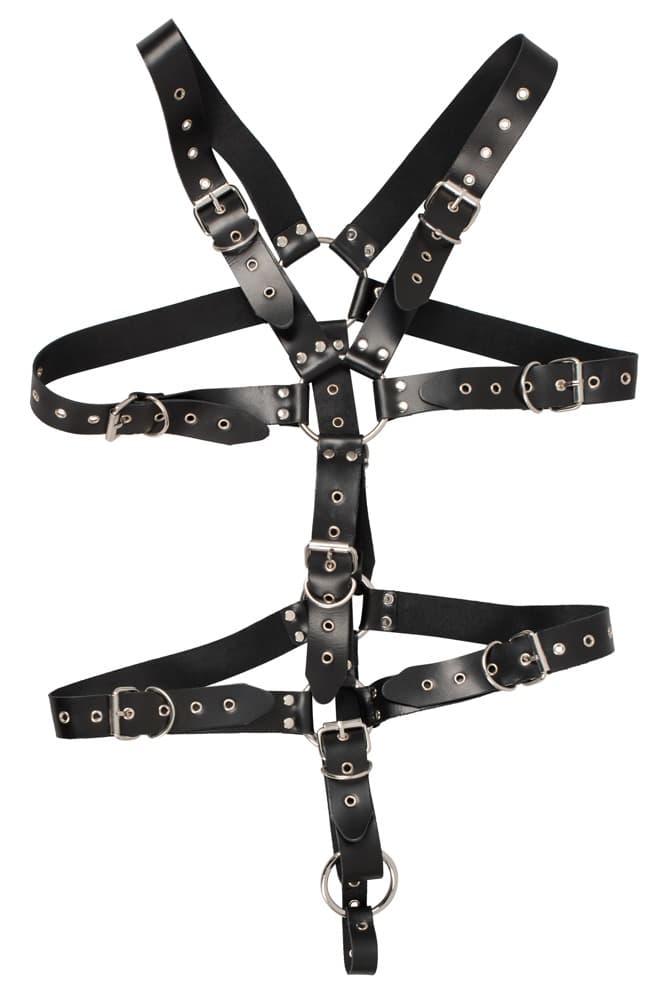 Harness - ORION Erotik Shop