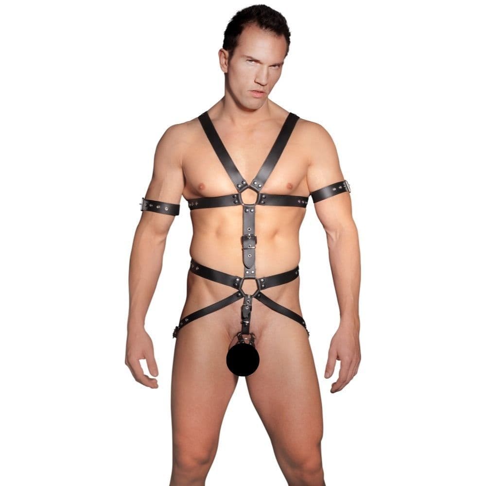 Herren Harness-L-XL - Winkwink.dk