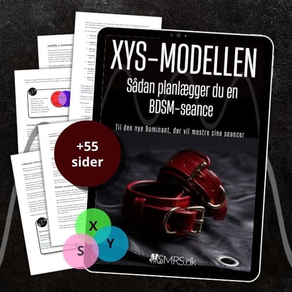 Sådan Planlægger Du en Seance - XYS-Modellen - SMRS.dk