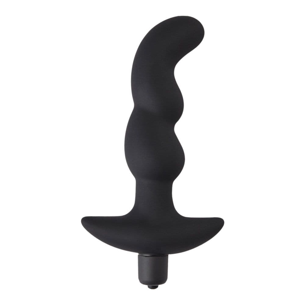 Axus Lite Kurvet Anal Vibrator